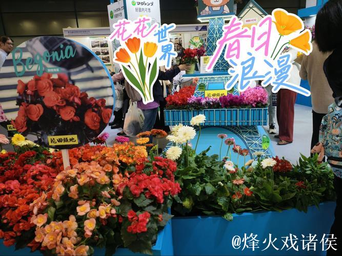 各地推出系列活动吸引游客——“花”为媒释放文旅消费潜能